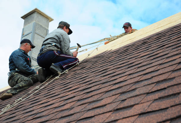 Roof Gutter Cleaning in Westwego, LA
