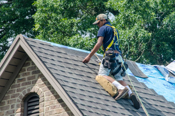 Professional Roofing Contractor in Westwego, LA